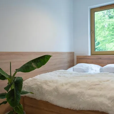 Przy Stoku - Szrenica Arena *