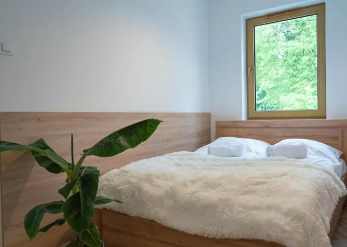 Przy Stoku - Szrenica Arena *